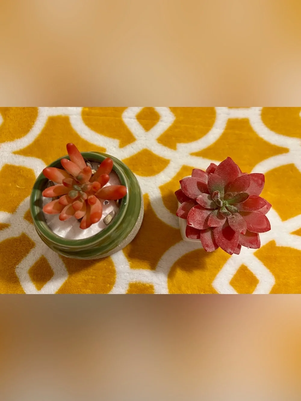 Set of 2 Artificial Succulent Plants in Ceramic Pots, Round Gray & White Square